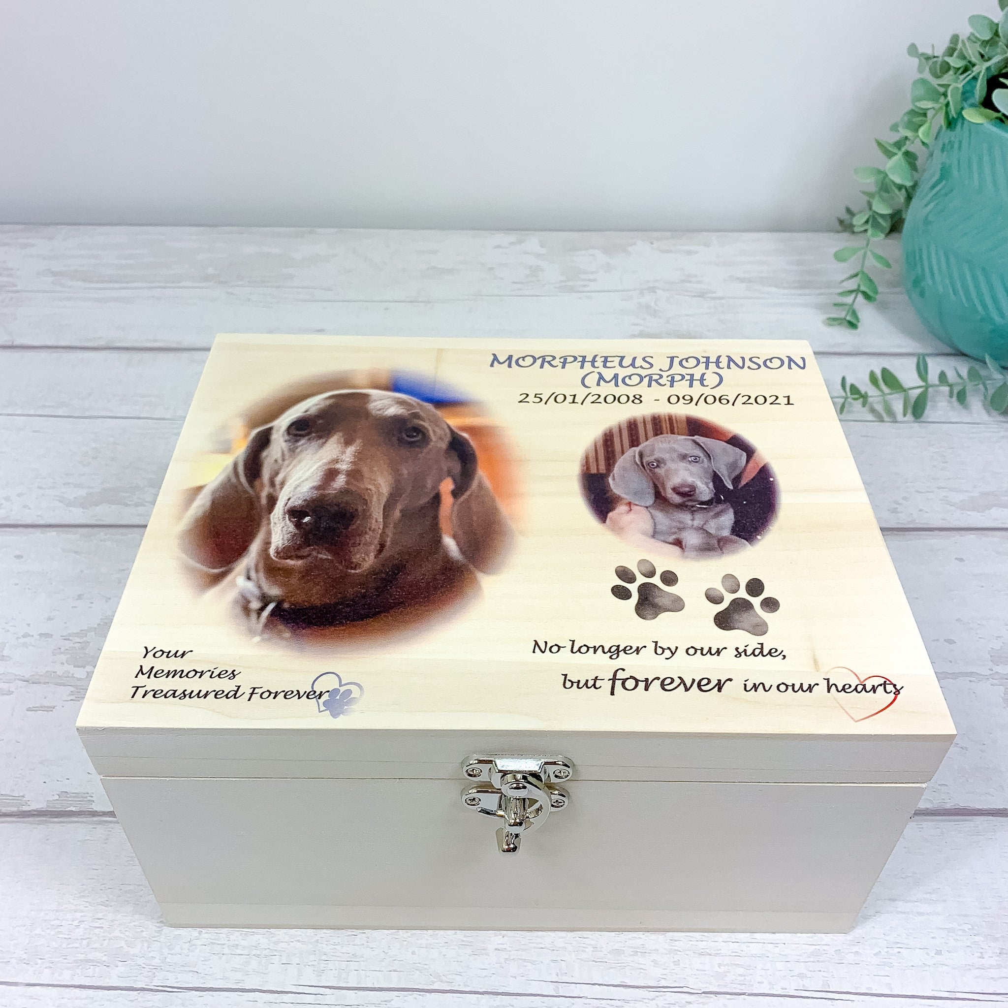 Keepsake for dog best sale